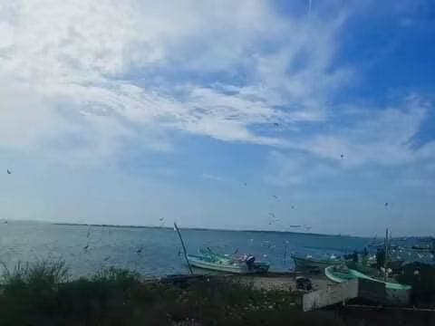 Sector Pesquero esta colapsado: Pescadores