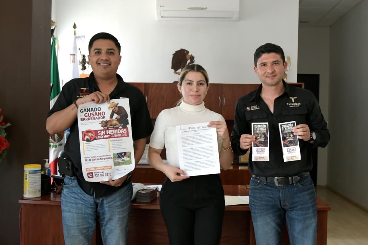 Concluyen barridos de tuberculosis bovina