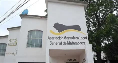 Exhortan a productores a regularizar sus animales